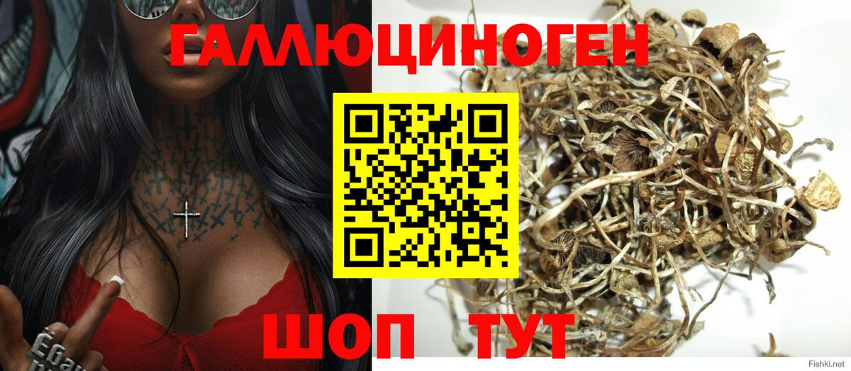 Скопин  Псилоцибиновые грибы GOLDEN TEACHER  Вход с VPN  Галлюциногенные грибы GOLDEN TEACHER 