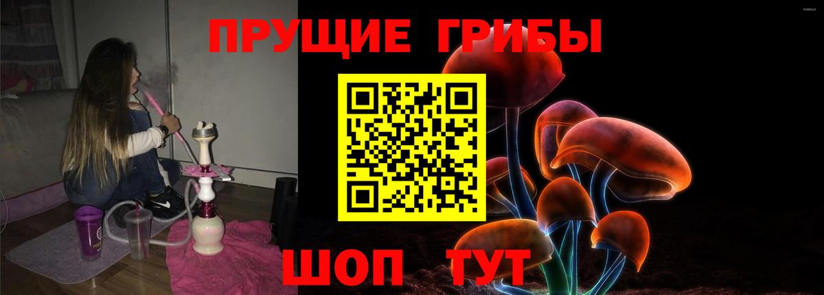 Псилоцибиновые грибы Psilocybe Скопин